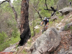 20070114-Coba 303 